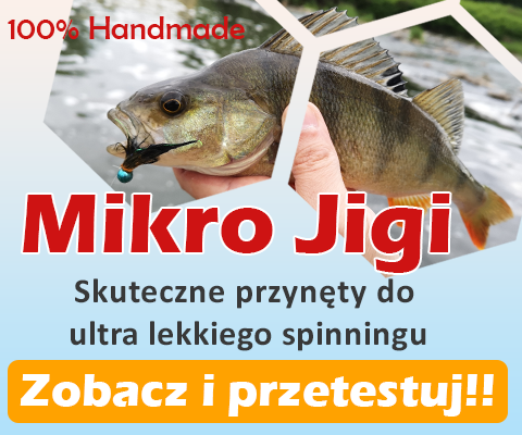 Mikro Jigi