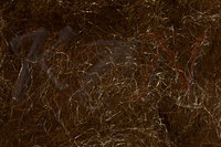 Dubbing Hareline Hare-Tron Dub - Dark Brown