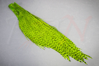Hareline Half Cape Grizzly Chartreuse