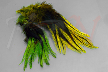 Spirit River UV2 Coq De Leon Perdigon Fire Tail Feathers