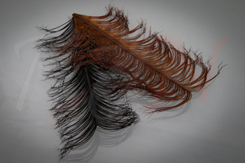 Veniard Cock Pheasant Knotted Tails