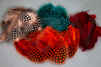 Veniard Guinea fowl Plumage 2 gram mixed