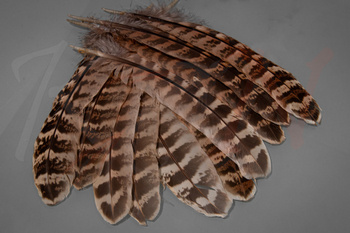 Veniard Hen Pheasant Wing Quills