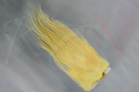 Pastel Yellow