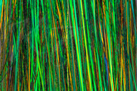 Sybai Magnum Sparkle - Olive