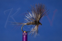 Dry fly RD01 #14