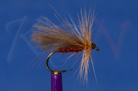 Dry fly Caddis RD21 #12