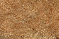 Dubbing Hareline Scud Dub - Tan