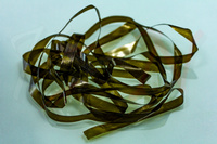 Sybai Body Stretch 4mm - Dark Olive