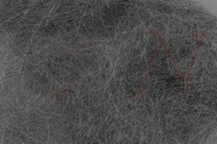 Sybai Thorax Dubbing - Gray 89