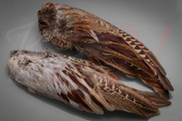 Veniard Cock Pheasant Wings Natural