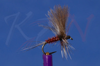 Dry fly RD11 #16