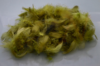 Medium Olive