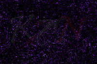 Dubbing Hareline Ice Dub - UV Black