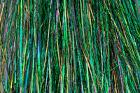 Sybai Magnum Sparkle - Green Rainbow