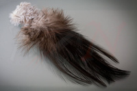 Federn Hareline Gallo De Leon Saddle Feathers Black