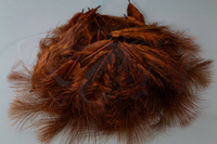 Federn Hareline Mini Marabou Brown