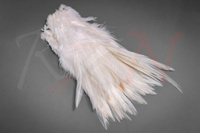 FutureFly Rooster Saddle Feather White