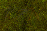 Dubbing Hareline Dubbin - Olive Brown