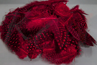 Veniard Guinea fowl Plumage 2 gram mixed Red