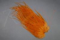 Pastel Orange