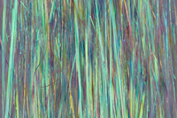 Sybai Magnum Supreme - Pearl