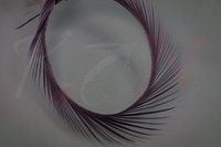 Federn Hareline Stripped Goose Biots Gray