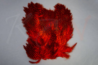 Skóra Hareline Grizzly Soft Hackle Marabou Patch Hot Orange