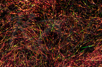 Dubbing Hareline Hare'e Ice Dub - Harder's Bloody Black