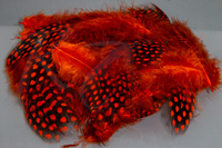 Veniard Guinea fowl Plumage 2 gram mixed Orange