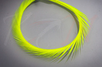 Federn Hareline Stripped Goose Biots Fluo Yellow