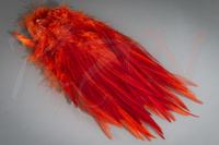 FutureFly Rooster Saddle Feather Burnt Orange