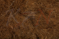 Dubbing Hareline Hare's Ear Plus Dub - Tan