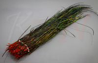 Veniard Peacock Herl Orange