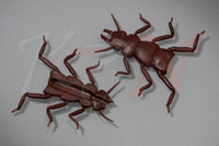 Hemingway’s Evolution Stone Fly Thorax & Legs M Brown