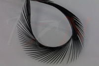 Federn Hareline Stripped Goose Biots Black