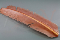 Feathers Hareline Turkey Biot Quills Dark Tan