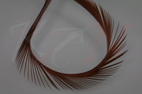Federn Hareline Stripped Goose Biots Brown