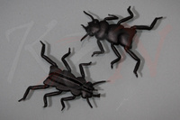 Hemingway’s Evolution Stone Fly Thorax & Legs M Black