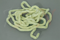 Natural Grub