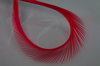 Federn Hareline Stripped Goose Biots Red