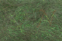 Tommi-Fly Hare and Rabbit Super Dubbing 03 Olive Green