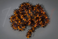 Hareline Medium Black Legged Squishenille Fl Orange Core #137