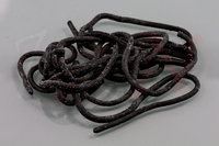 Spirit River Squirmy Wormies - Black SWRM001