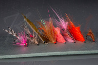 Sea trout fly selection for sbirulino (bombarda)