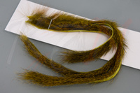 Olive Yellow || ZSS07