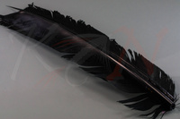 Federn Hareline Turkey Biot Quills Black Truthahn Flügelfeder