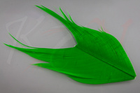 Veniard Condor substitute Green