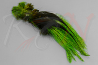 Farbowane pióra Spirit River UV2 Coq De Leon Perdigon Fire Tail Feathers #127 Fl Chartreuse