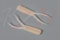 Hemingway’s Evolution Stone Fly Body & Tails M Tan